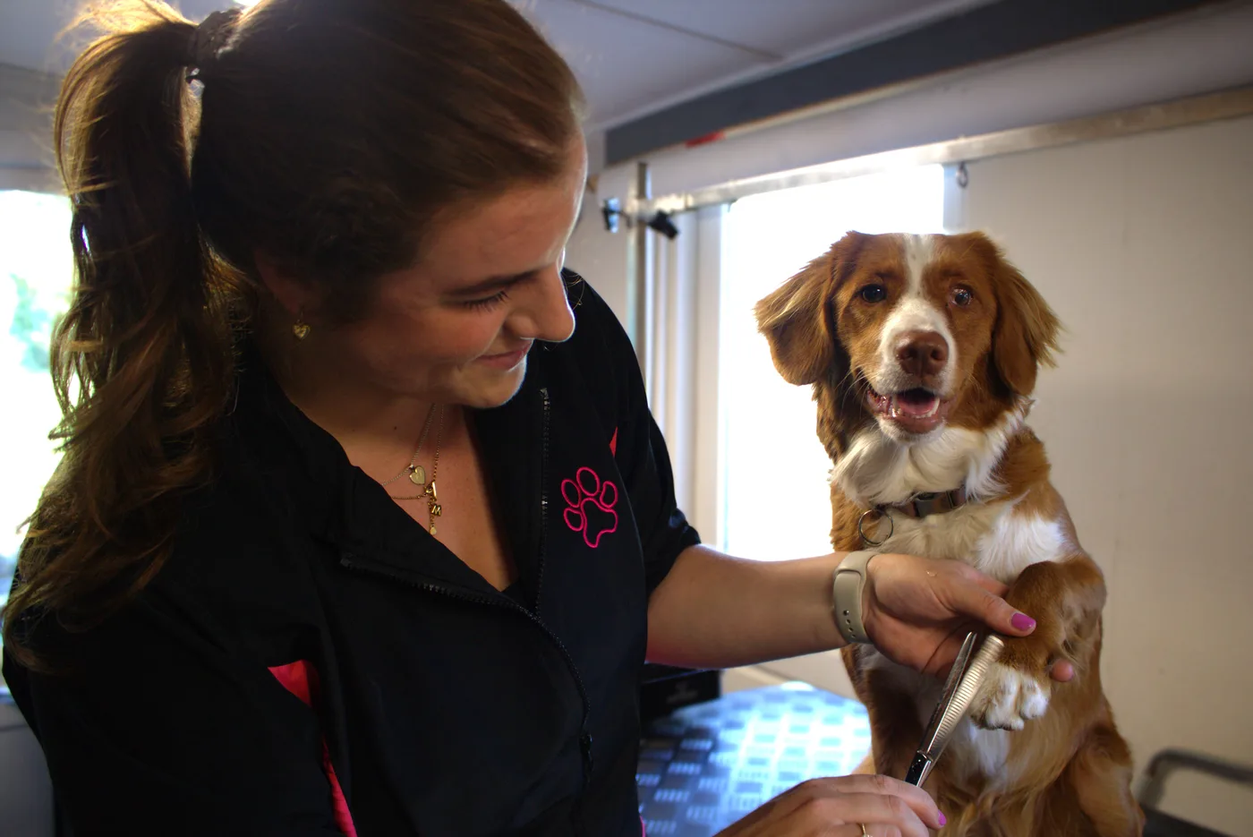 Marinda aan het werk met een hond bij Trimsalon BestBuddy