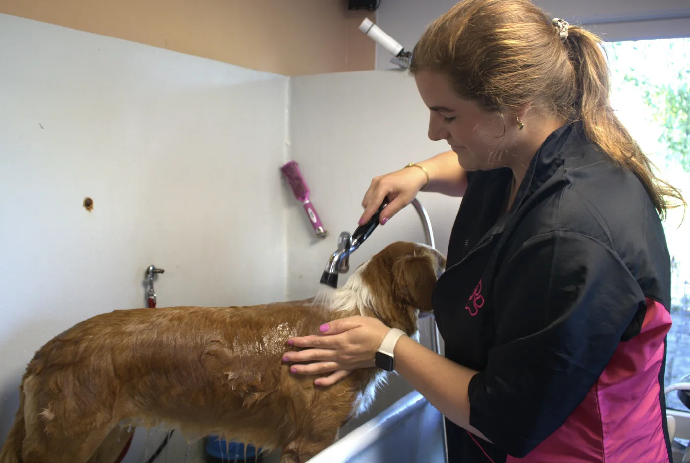Hond wordt gewassen bij Trimsalon BestBuddy